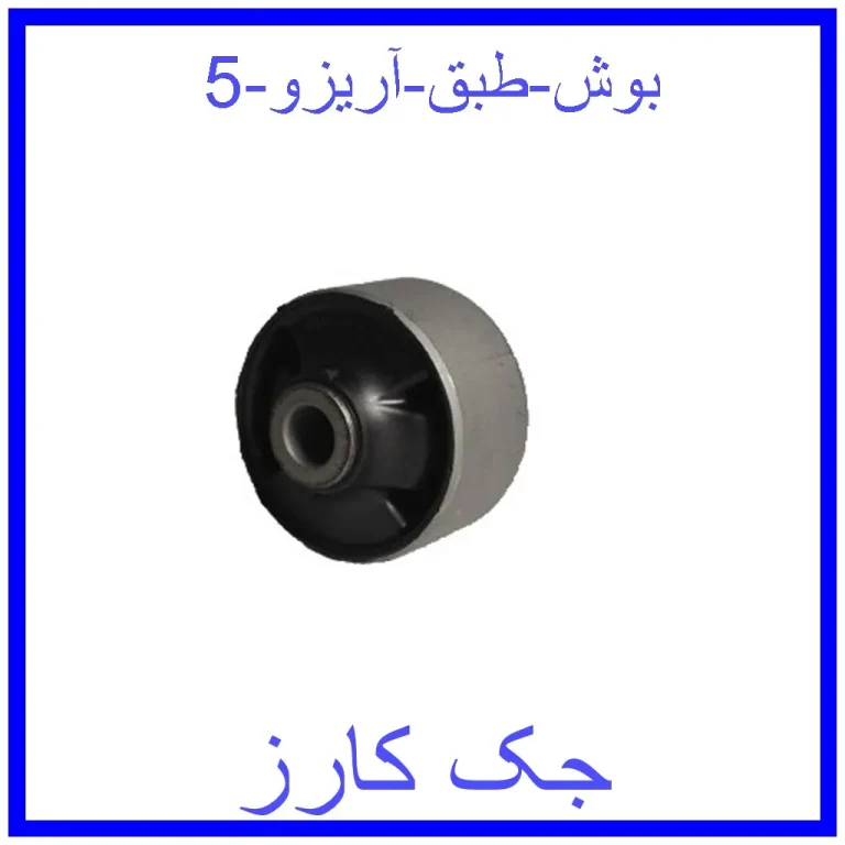 بوش طبق آریزو 5