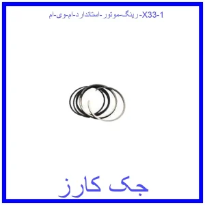 قیمت رینگ موتور استاندارد ام وی ام X33 و خرید از فروشگاه جک کارز