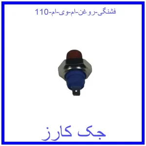 قیمت فشنگی روغن ام وی ام 110 و خرید از فروشگاه جک کارز