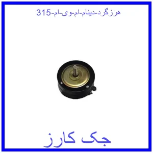 قیمت هرزگرد دینام ام وی ام 315 و خرید از فروشگاه جک کارز