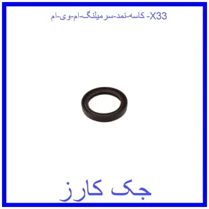 قیمت کاسه نمد سرمیلنگ ام وی ام X33 و خرید از فروشگاه جک کارز