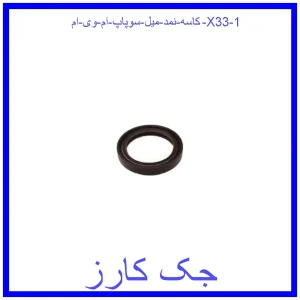 قیمت کاسه نمد میل سوپاپ ام وی ام X33 و خرید از فروشگاه جک کارز