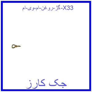 قیمت گژ روغن ام وی ام X33 و خرید از فروشگاه جک کارز