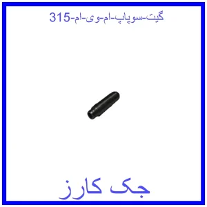 قیمت گیت سوپاپ ام وی ام 315 و خرید از فروشگاه جک کارز