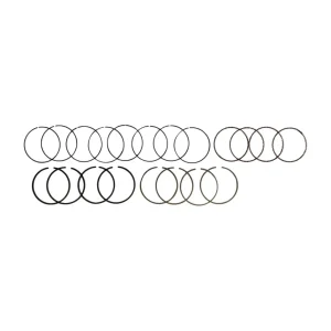 قیمت رینگ پیستون موتور استاندارد لیفان X50