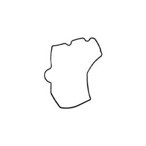 قیمت واشر اویل پمپ لیفان 620